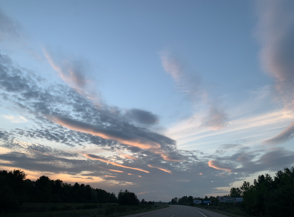 17. 뉴스레터 Lydia House