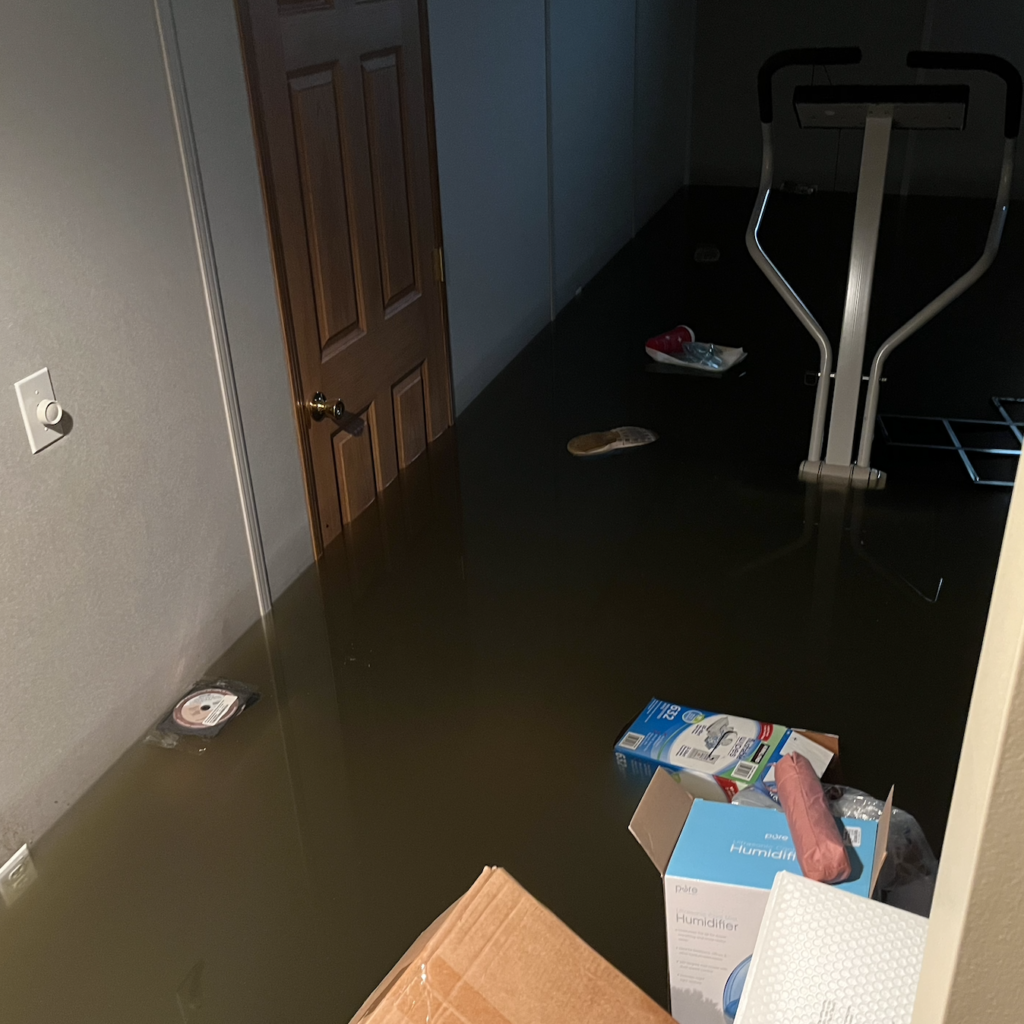 26. 뉴스레터 Lydia House